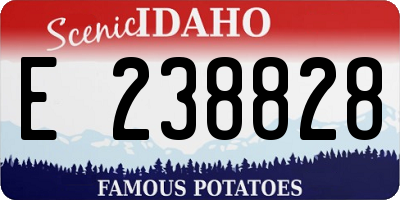 ID license plate E238828