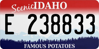 ID license plate E238833