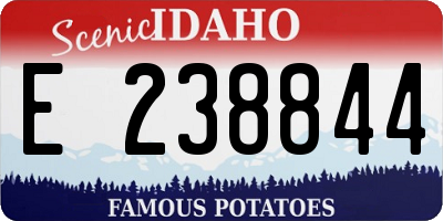 ID license plate E238844