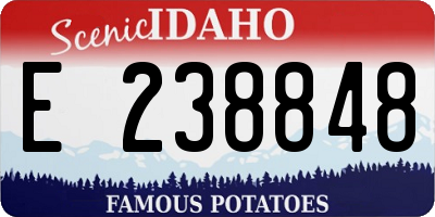 ID license plate E238848