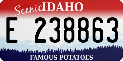 ID license plate E238863
