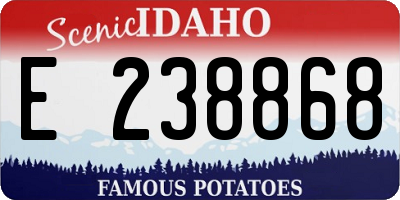 ID license plate E238868