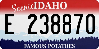 ID license plate E238870