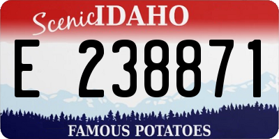 ID license plate E238871