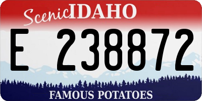 ID license plate E238872