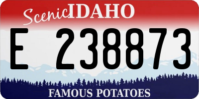ID license plate E238873