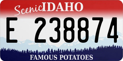 ID license plate E238874