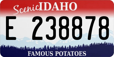 ID license plate E238878