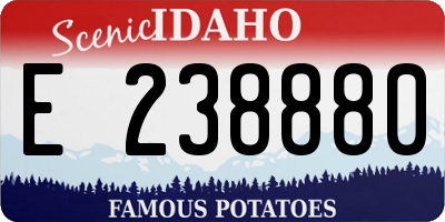 ID license plate E238880
