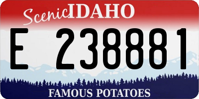 ID license plate E238881