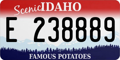 ID license plate E238889