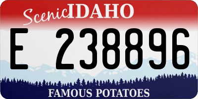 ID license plate E238896