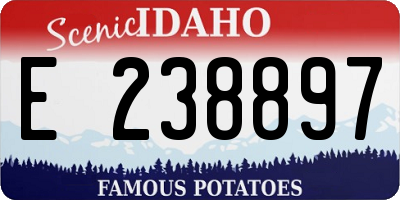 ID license plate E238897