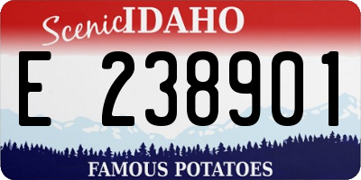 ID license plate E238901