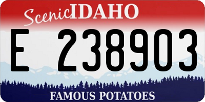 ID license plate E238903