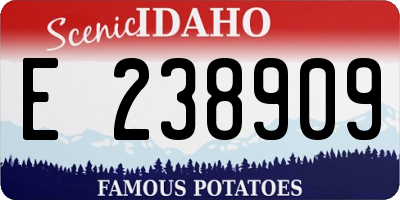 ID license plate E238909