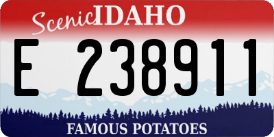 ID license plate E238911