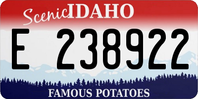ID license plate E238922