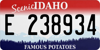 ID license plate E238934