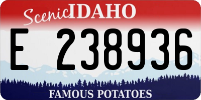 ID license plate E238936