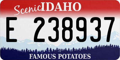 ID license plate E238937