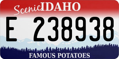 ID license plate E238938