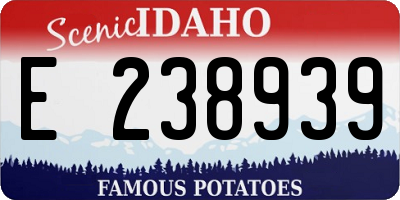 ID license plate E238939