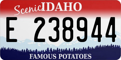 ID license plate E238944