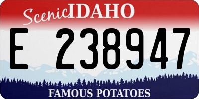 ID license plate E238947