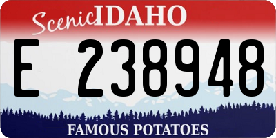 ID license plate E238948