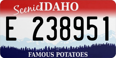 ID license plate E238951