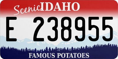 ID license plate E238955