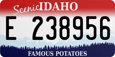 ID license plate E238956