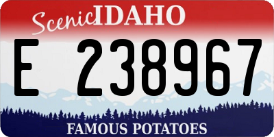 ID license plate E238967
