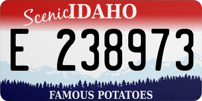 ID license plate E238973