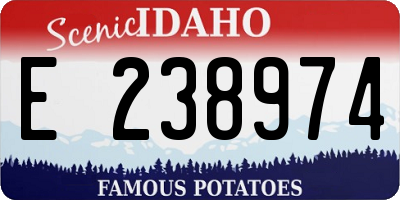 ID license plate E238974