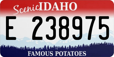 ID license plate E238975