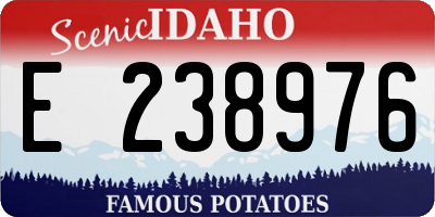 ID license plate E238976