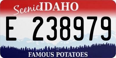ID license plate E238979