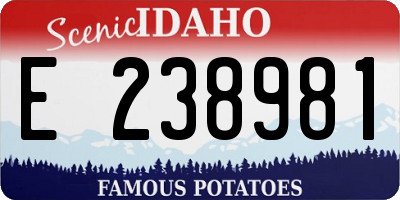 ID license plate E238981