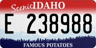 ID license plate E238988