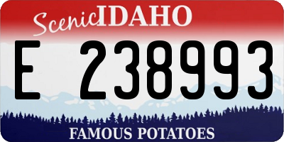 ID license plate E238993