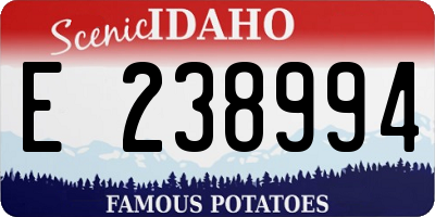 ID license plate E238994