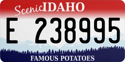 ID license plate E238995