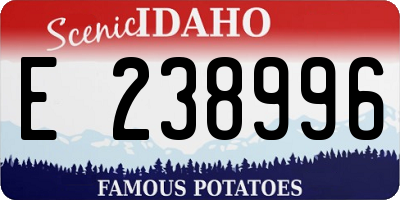 ID license plate E238996