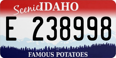 ID license plate E238998