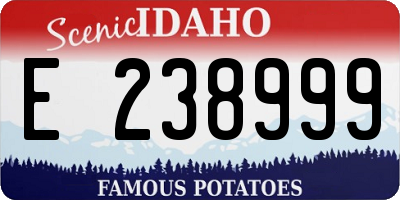 ID license plate E238999