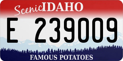 ID license plate E239009