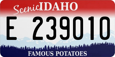 ID license plate E239010