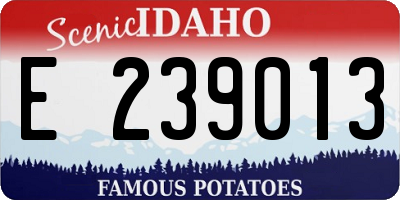 ID license plate E239013